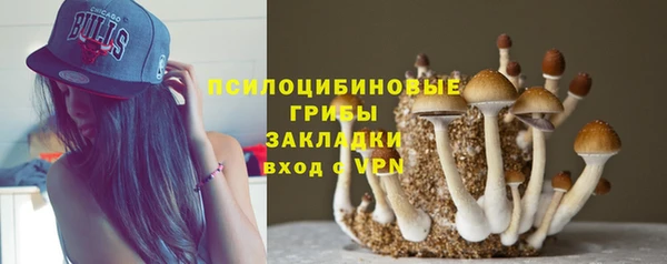 jwh Каменка