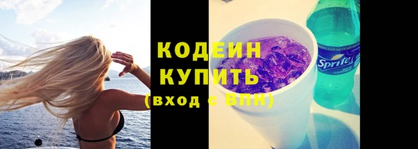 стаф Касимов
