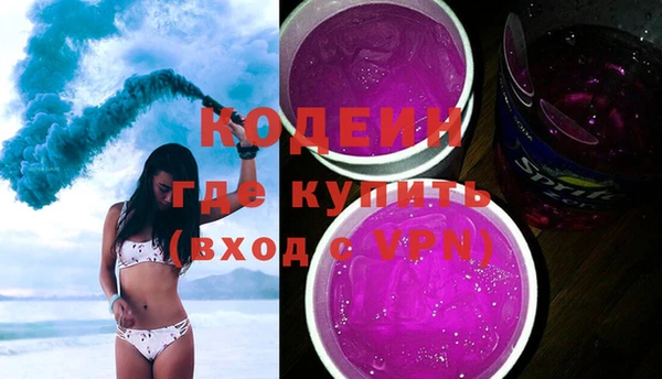 крисы Инта