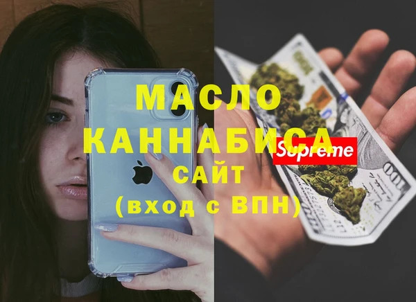 стаф Касимов